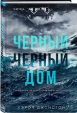 Черный дом — изображение 2
