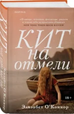 Кит на отмели — изображение 2