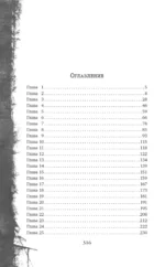 Фейри-профайлер. Книга 1 — изображение 5