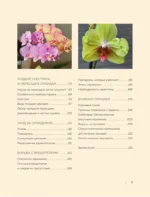 Великолепные орхидеи. Практичное руководство по уходу для начинающих — изображение 4