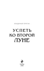 Успеть ко второй луне — изображение 4