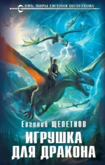 Игрушка для дракона. Евгений Щепетнов