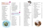 Тайны мира! 365 самых загадочных событий — изображение 5