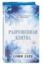 Разрушенная клятва — изображение 5