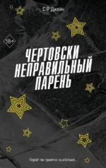 Чертовски неправильный парень (#2). С. Р. Джейн