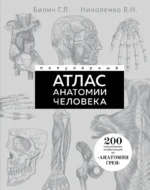 Популярный атлас анатомии человека. 200 классических иллюстраций из Анатомии Грея. Владимир Николенко, Габриэль Билич