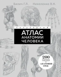 Популярный атлас анатомии человека. 200 классических иллюстраций из Анатомии Грея. Владимир Николенко, Габриэль Билич