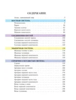 Популярный атлас анатомии человека. 200 классических иллюстраций из Анатомии Грея — изображение 4