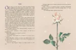 Маленький принц — изображение 5