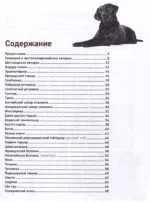 Собаки. Самые известные породы. Большая иллюстрированная энциклопедия — изображение 4