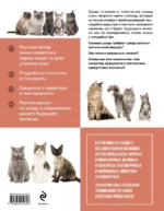 Самые известные породы. КОШКИ. Большая иллюстрированная энциклопедия — изображение 2
