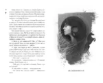 Тайна чёрного волка — изображение 5