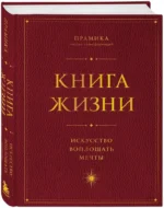 Книга Жизни: Искусство воплощать мечты — изображение 2