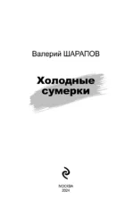 Холодные сумерки — изображение 4