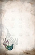 Практическая книга травницы. Сбор, заготовка и ритуалы с лекарственными растениями — изображение 6