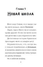 Детектив из Роблокс. Призрак города Блоквью Миддл. Книга 1 — изображение 4
