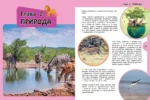 Большая книга для любознательных девчонок — изображение 6