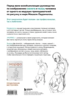 МОРФО. Скелет и мышцы человека. Анатомия для художников — изображение 2