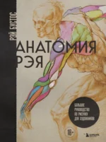 Анатомия Рэя. Большое руководство по рисунку для художников. Рэй Бустос