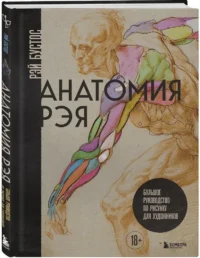 Анатомия Рэя. Большое руководство по рисунку для художников — Живопись, рисование