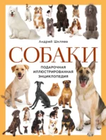 Собаки. Подарочная иллюстрированная энциклопедия. Андрей Шкляев