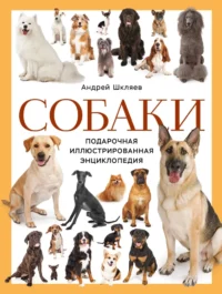 Собаки. Подарочная иллюстрированная энциклопедия. Андрей Шкляев