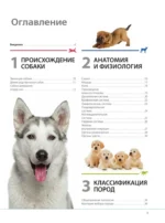 Собаки. Подарочная иллюстрированная энциклопедия — изображение 3