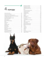 Собаки. Подарочная иллюстрированная энциклопедия — изображение 4
