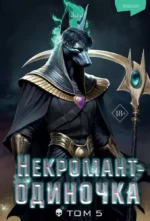 Некромант-одиночка. Новелла. Том 5. JJJ JJJ (Jijumjang)