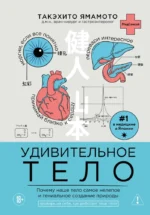 Удивительное тело. Почему наше тело самое нелепое и гениальное создание природы. Такэхито Ямамото