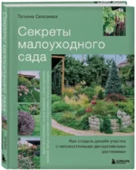 Секреты малоуходного сада. Как создать дизайн участка с неприхотливыми декоративными растениями — изображение 2