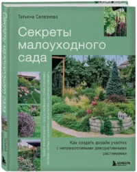 Секреты малоуходного сада. Как создать дизайн участка с неприхотливыми декоративными растениями — Сад и огород, ландшафтный дизайн