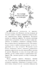 Звездный цветок — изображение 5