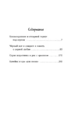 Котенок и кафе на краю океана — изображение 4