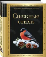 Снежные стихи — изображение 3