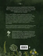 Шаманское травничество. Сила растений. Рецепты наших предков — изображение 3
