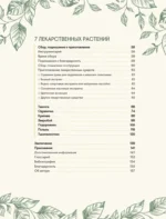 Шаманское травничество. Сила растений. Рецепты наших предков — изображение 6