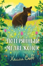 Потерянный медвежонок. Холли Вебб