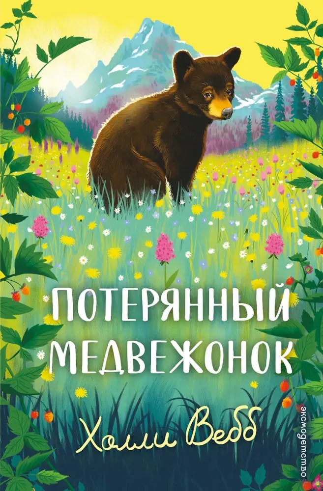 9785042104091_0-1.webp Потерянный медвежонок. Холли Вебб
