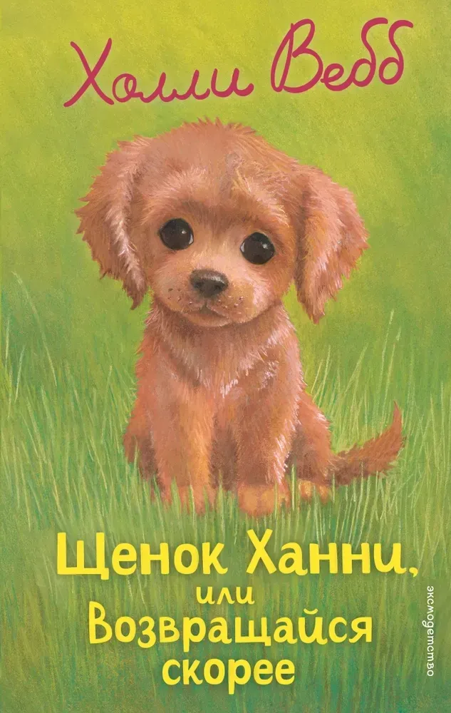 9785042104268_0-1.webp Щенок Ханни, или Возвращайся скорее. Холли Вебб