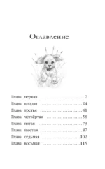 Щенок Ханни, или Возвращайся скорее — изображение 4