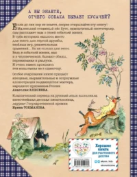 Веселые приключения собаки. Всегда ваш, пёс Бутс — Детская художественная литература