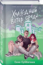 Холодный ветер среды — изображение 3
