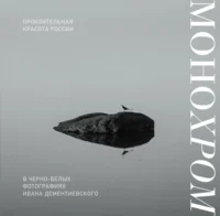 Монохром. Пронзительная красота России в черно-белых фотографиях Ивана Дементиевского. Иван Дементиевский