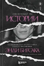 Они не поймут эти истории: Вдохновляющая автобиография солиста Black Veil Brides Энди Бирсака. Энди Бирсак
