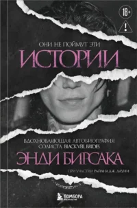 Они не поймут эти истории: Вдохновляющая автобиография солиста Black Veil Brides Энди Бирсака. Энди Бирсак