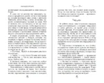 Братья Лэнгстром. Падение Эрин — изображение 4
