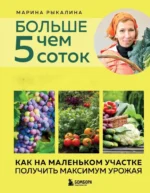 Больше чем 5 соток. Как на маленьком участке получить максимум урожая. Марина Рыкалина
