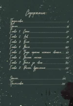 Артбук. Тихо бысть. Откровенный разговор — изображение 3