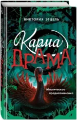 Карма-драма. Мистическое предназначение. Книга 2 — изображение 2